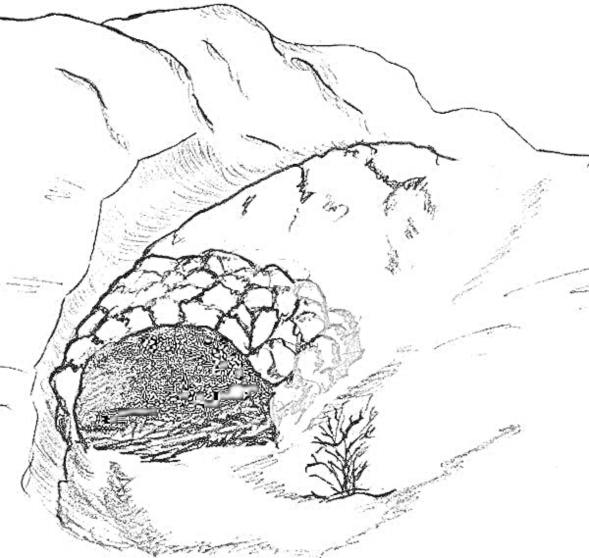 Раскраска Горная нора с каменистой аркой, тропинкой и кустом