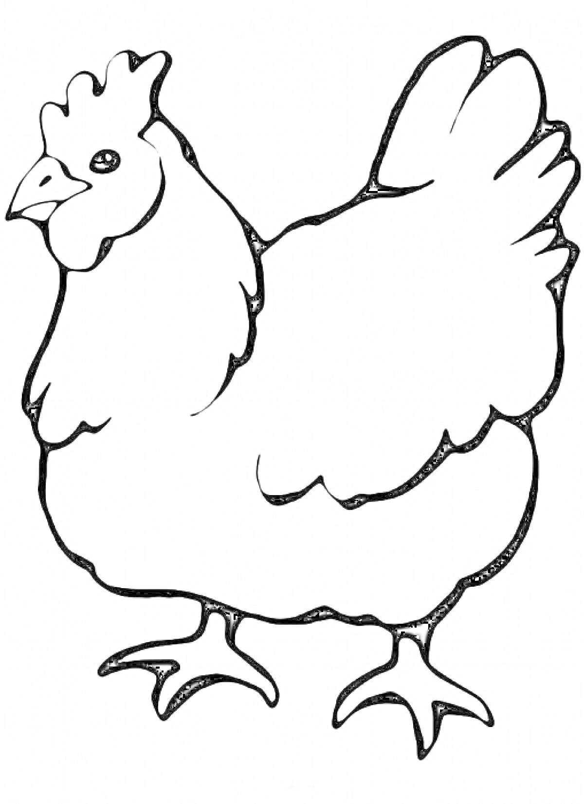 На раскраске изображено: Птица, Ферма, Для детей, Животные, Домашние птицы, Контурные рисунки, Курицы