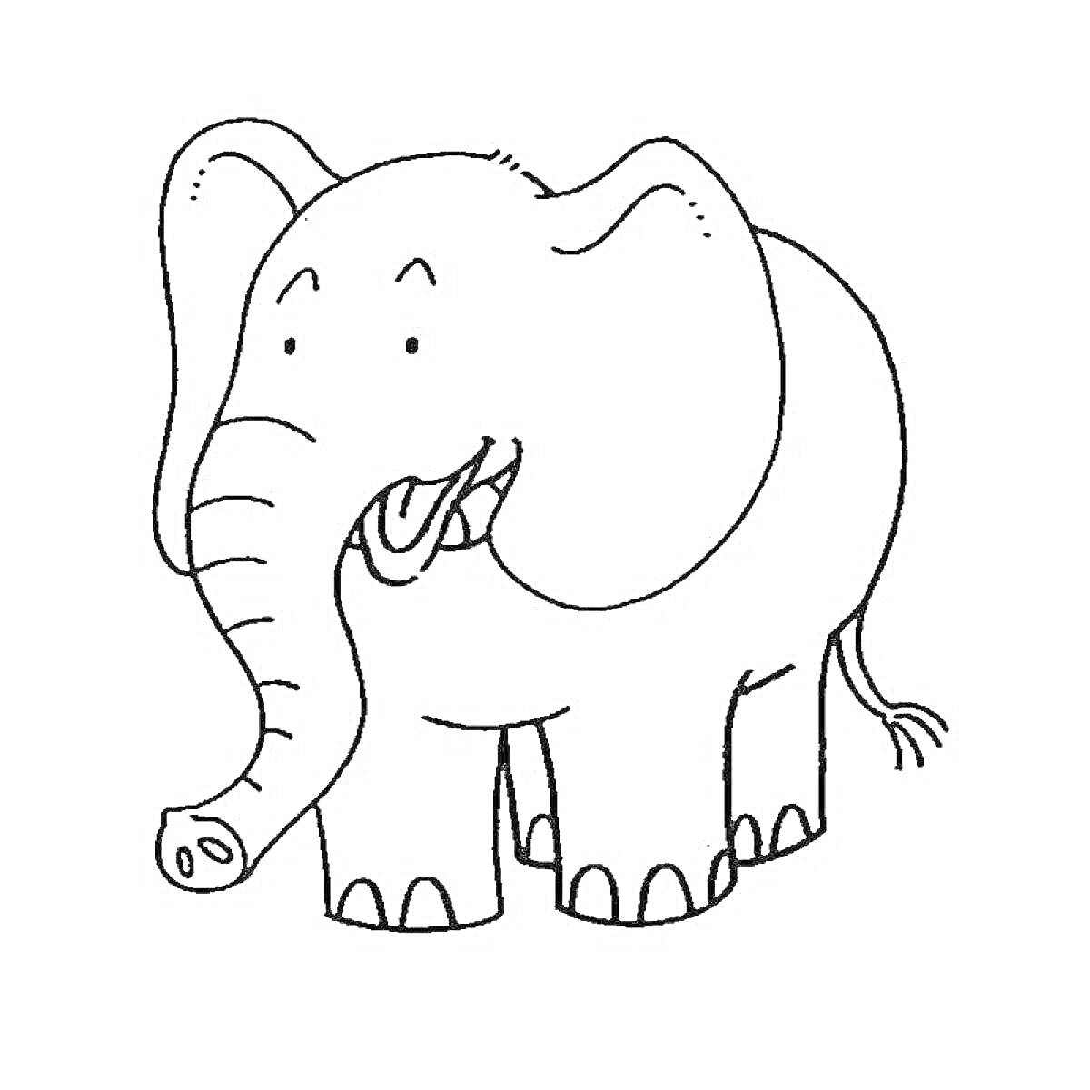 На раскраске изображено: Хобот, 7 лет, Для детей, Животные, Контурные рисунки, Слон