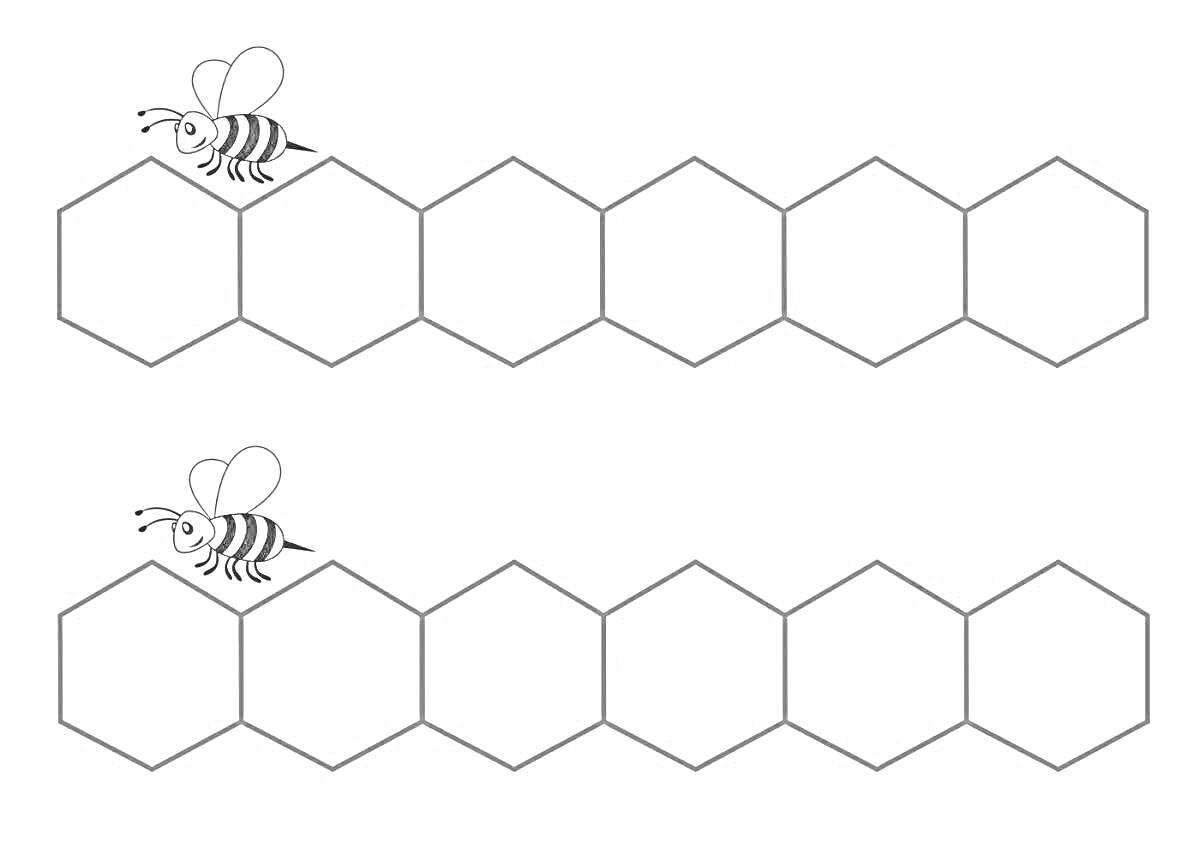 Раскраска Пчёлы и шестигранные соты