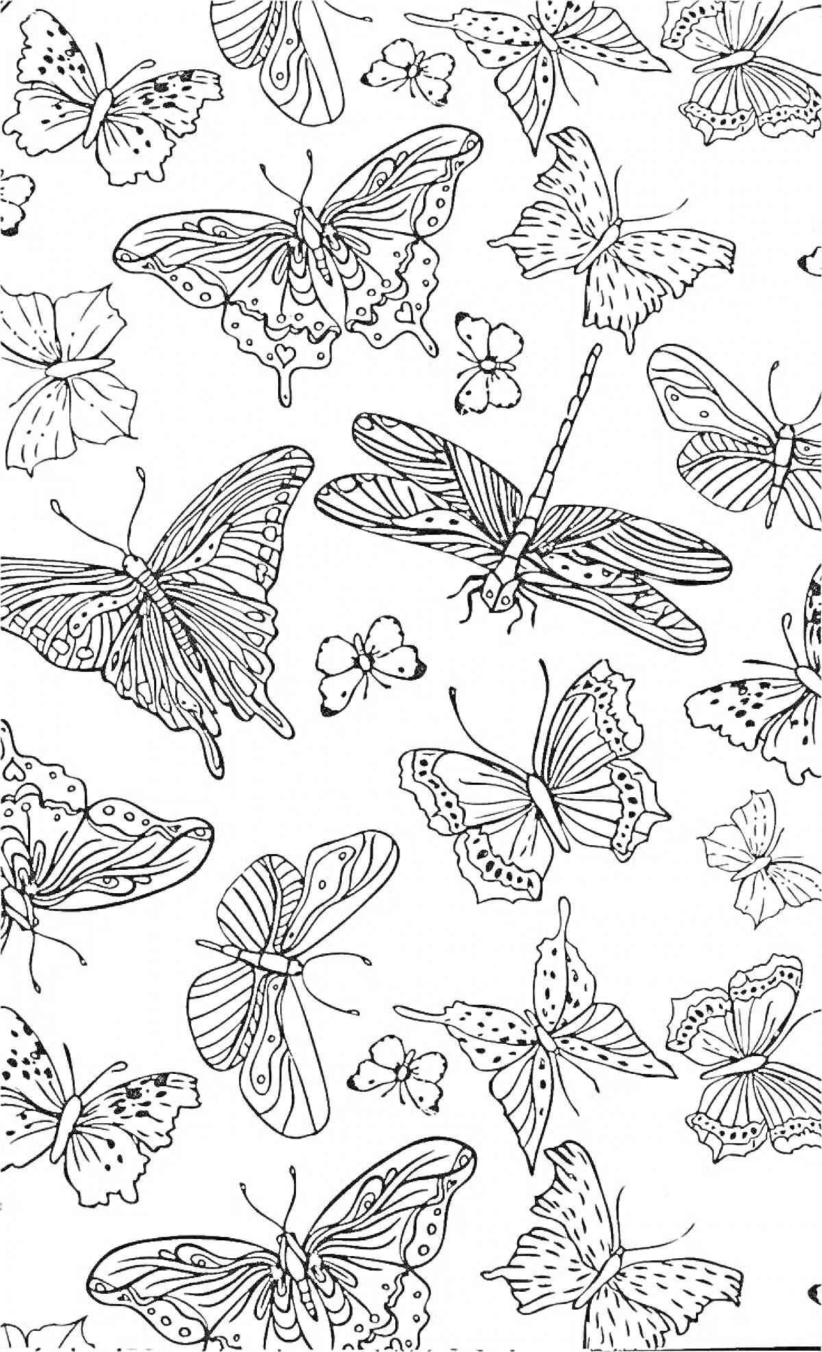 Раскраска Раскраска с множеством бабочек и стрекоз на одном листе