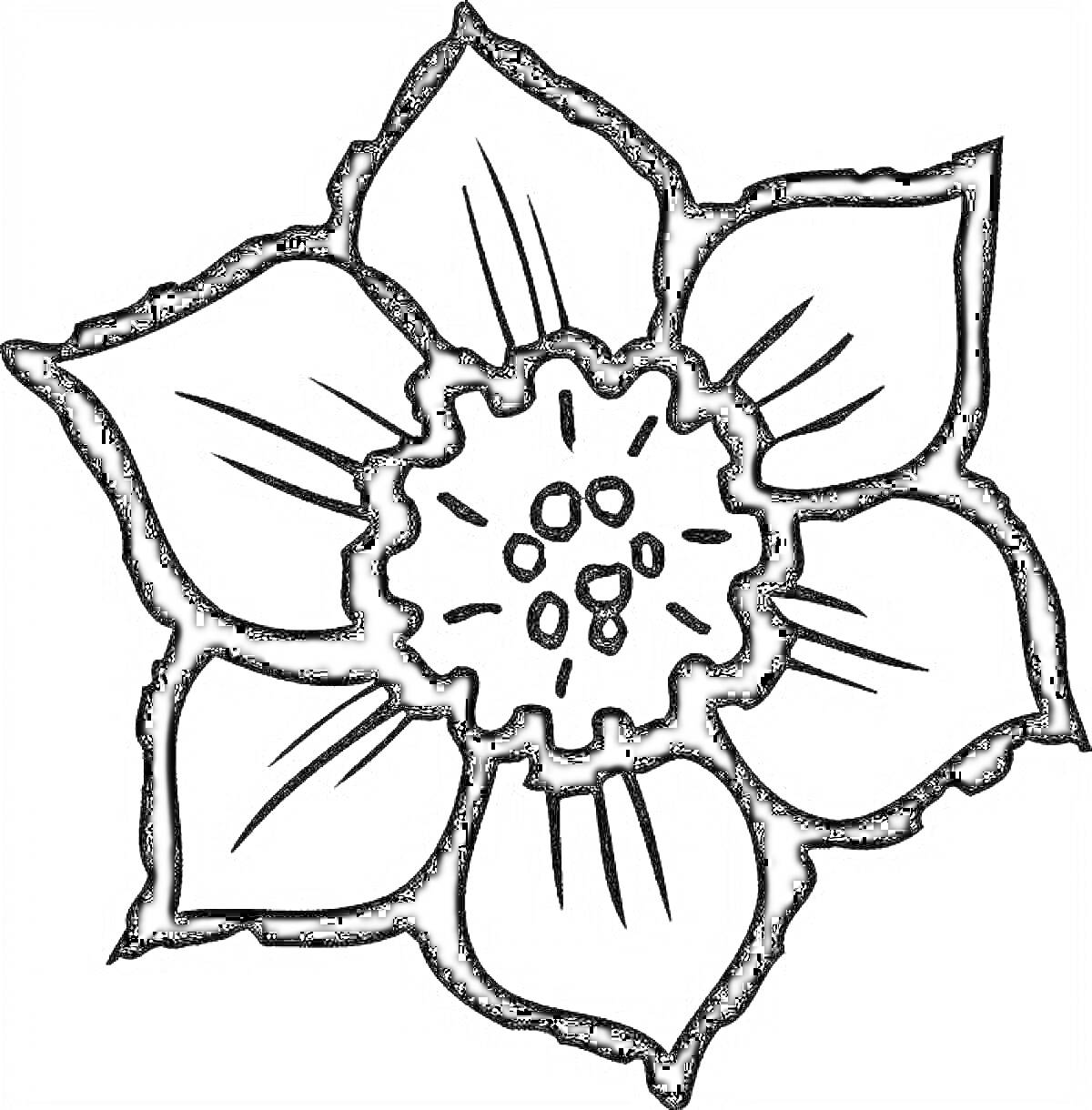 Раскраска Цветок с пятью лепестками и центральной частью