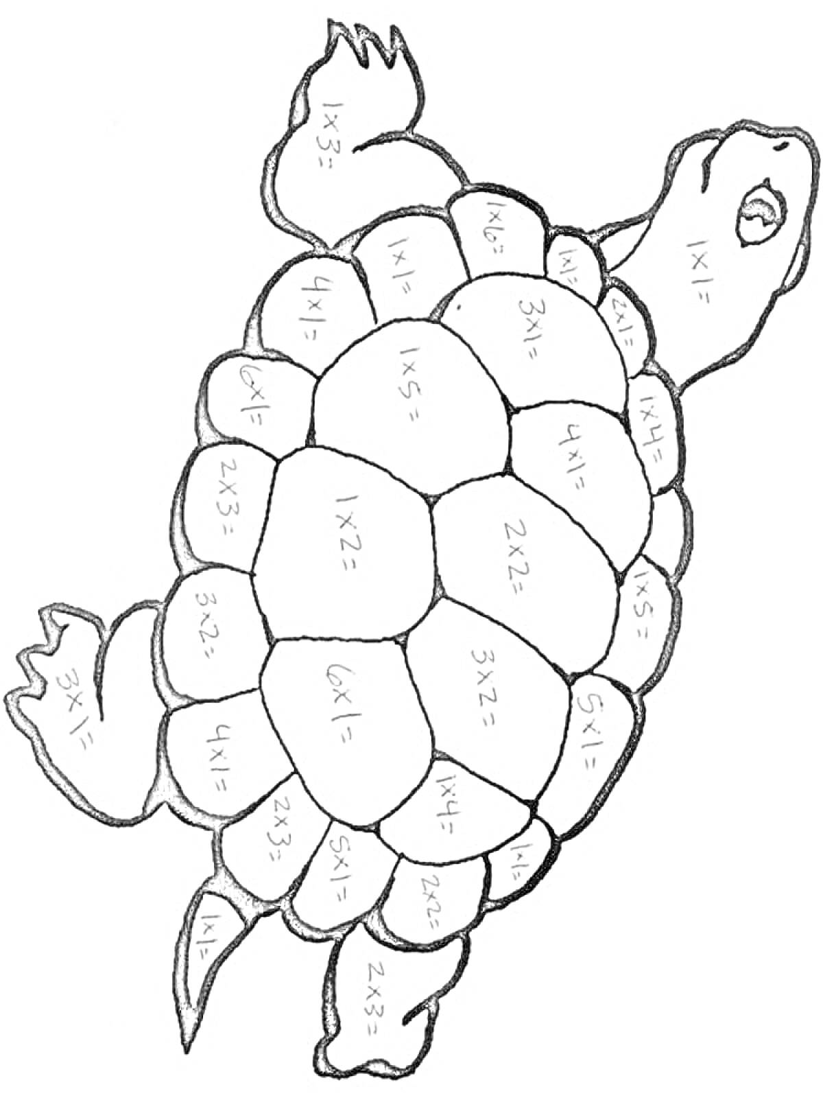 Раскраска Черепаха с математическими задачами на панцире