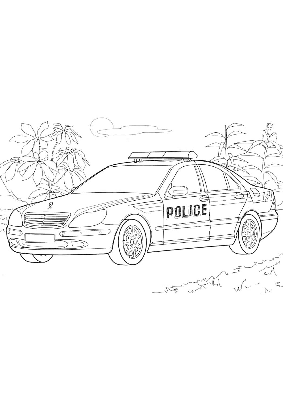 На раскраске изображено: Полицейский автомобиль, Mercedes-Benz, Деревья, Кусты, Небо, Иллюстрация
