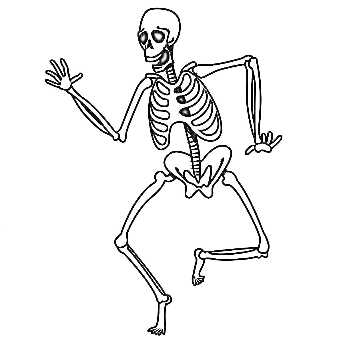 Раскраска Танцующий скелет с поднятыми конечностями