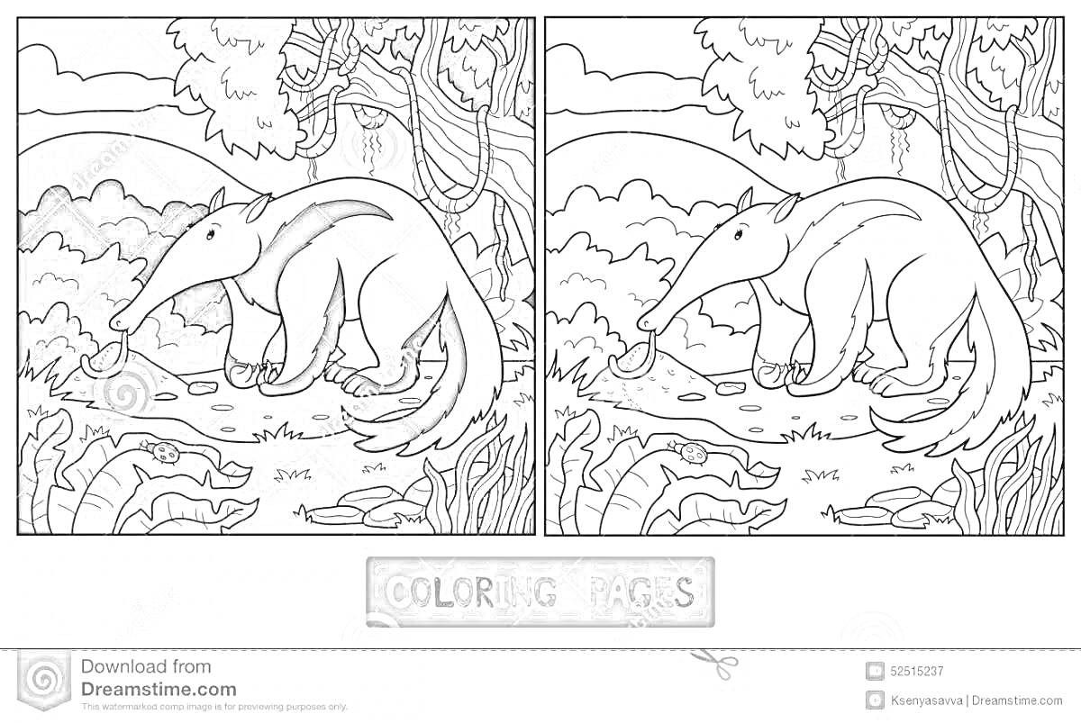 Раскраска Муравьед в лесу с растительностью и деревьями, на камне и листьях на переднем плане
