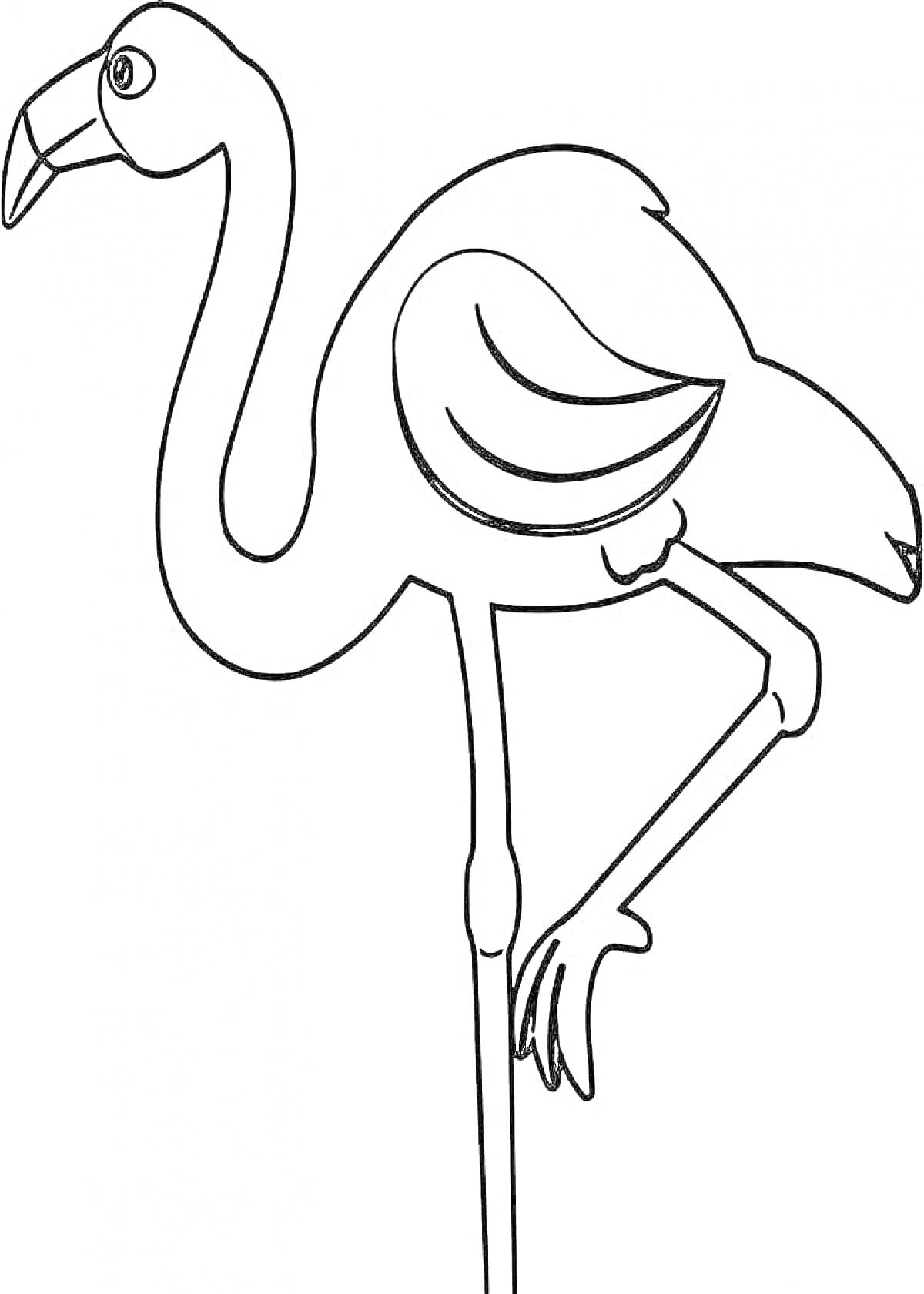 Раскраска Фламинго, стоящий на одной ноге