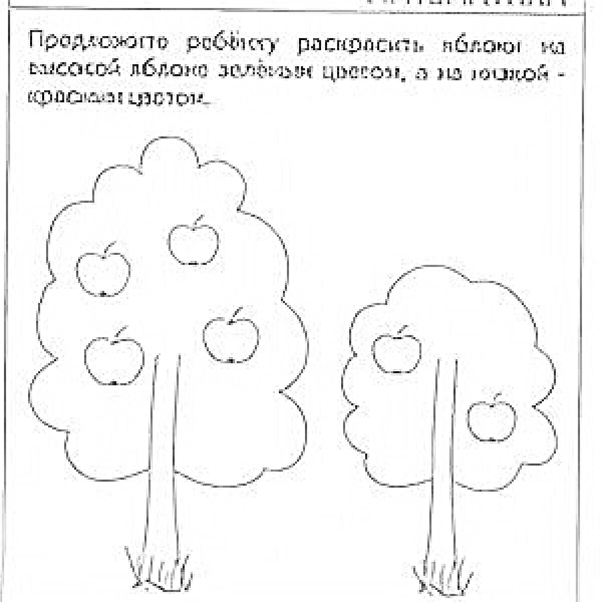 Раскраска Высокое и низкое яблони с яблоками