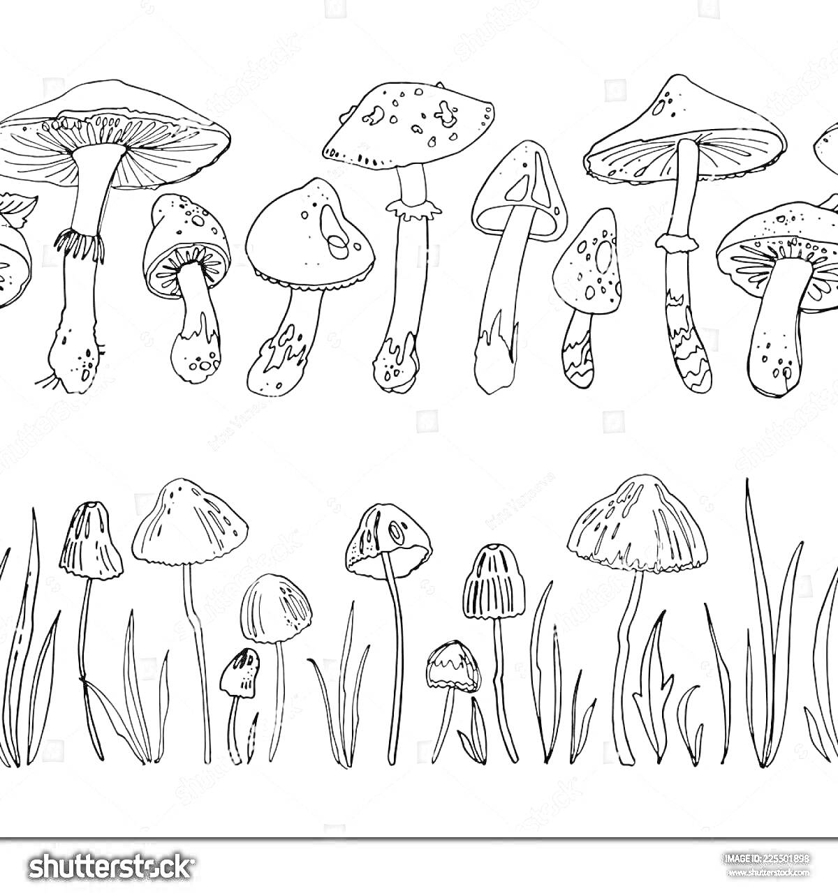 Раскраска Различные виды ядовитых грибов с травой