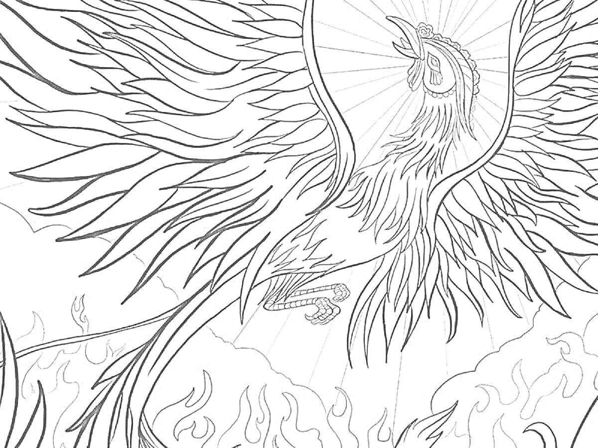 Раскраска Феникс, парящий над огнем, с расправленными крыльями и лучами света позади