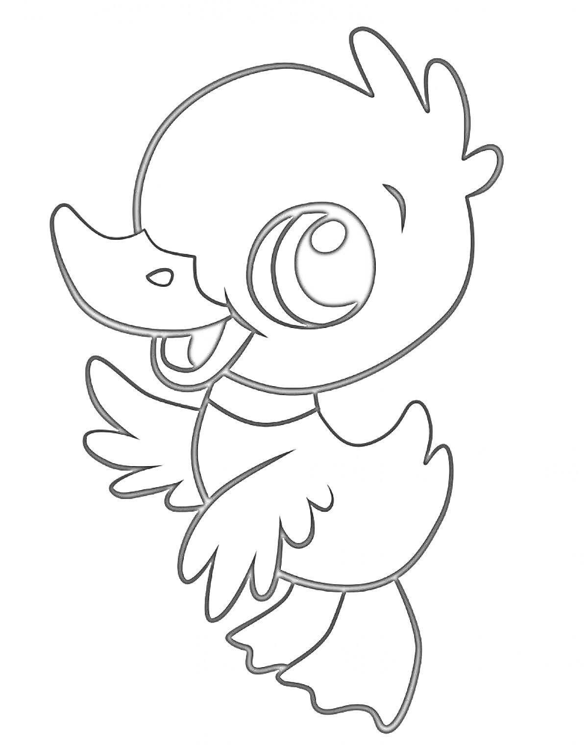 Раскраска Птенец утки с большими глазами и крыльями