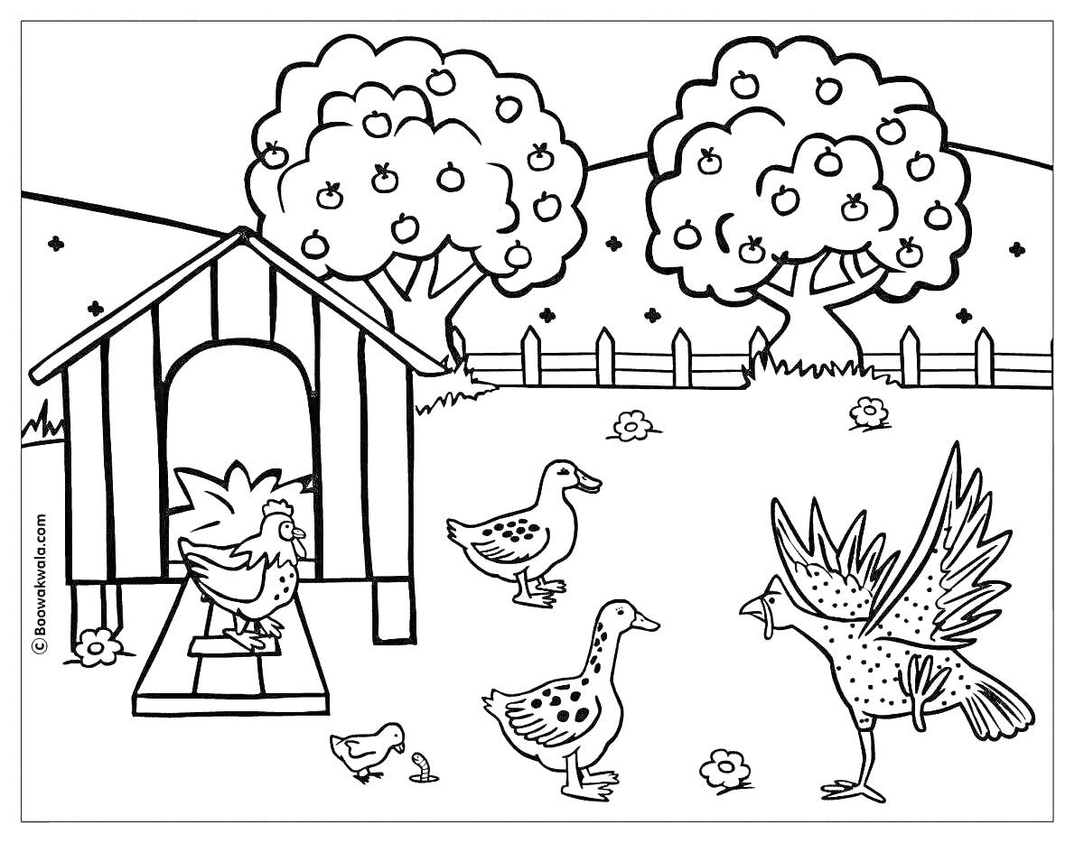 Раскраска Курятник с курицей, гусями, цыплёнком, индейкой и цветами на фоне яблонь и забора