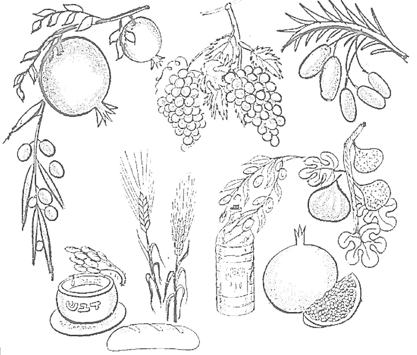 Раскраска Праздник Ту би Шват: гранаты, оливки, виноград, пальмовые финики, пшеница, инжир, рог изобилия, бокал с вином и хлеб