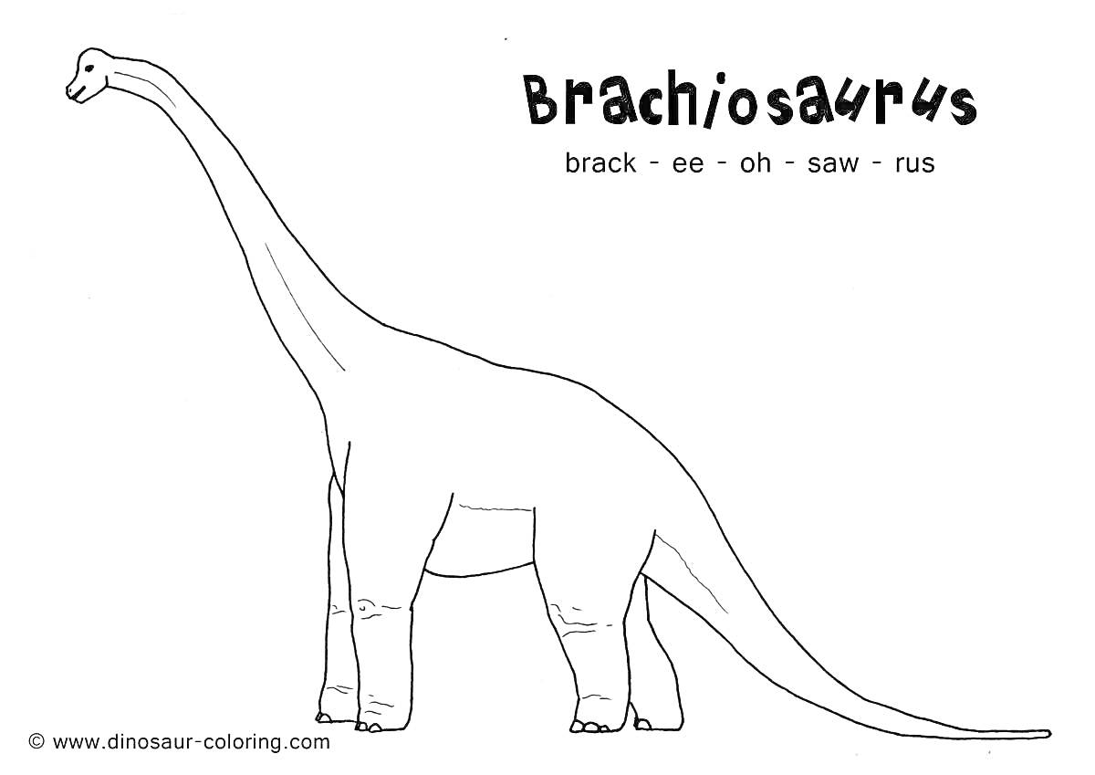Раскраска Брахиозавр, крупный динозавр с длинной шеей, стоящий на четырех ногах