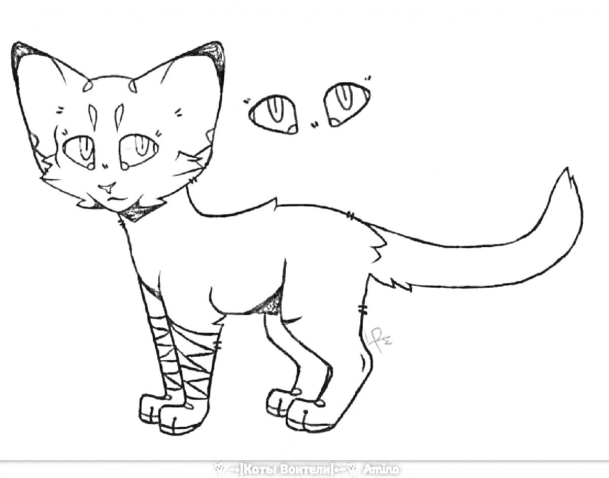 Раскраска Аниме кот с рисунками головы и туловища, а также отдельные глаза