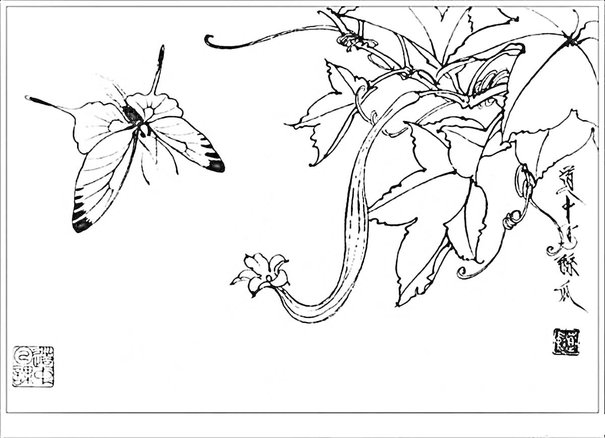 На раскраске изображено: Китайские мотивы, Цветы, Бабочка, Ветка, Листья, Природа, Традиционное искусство