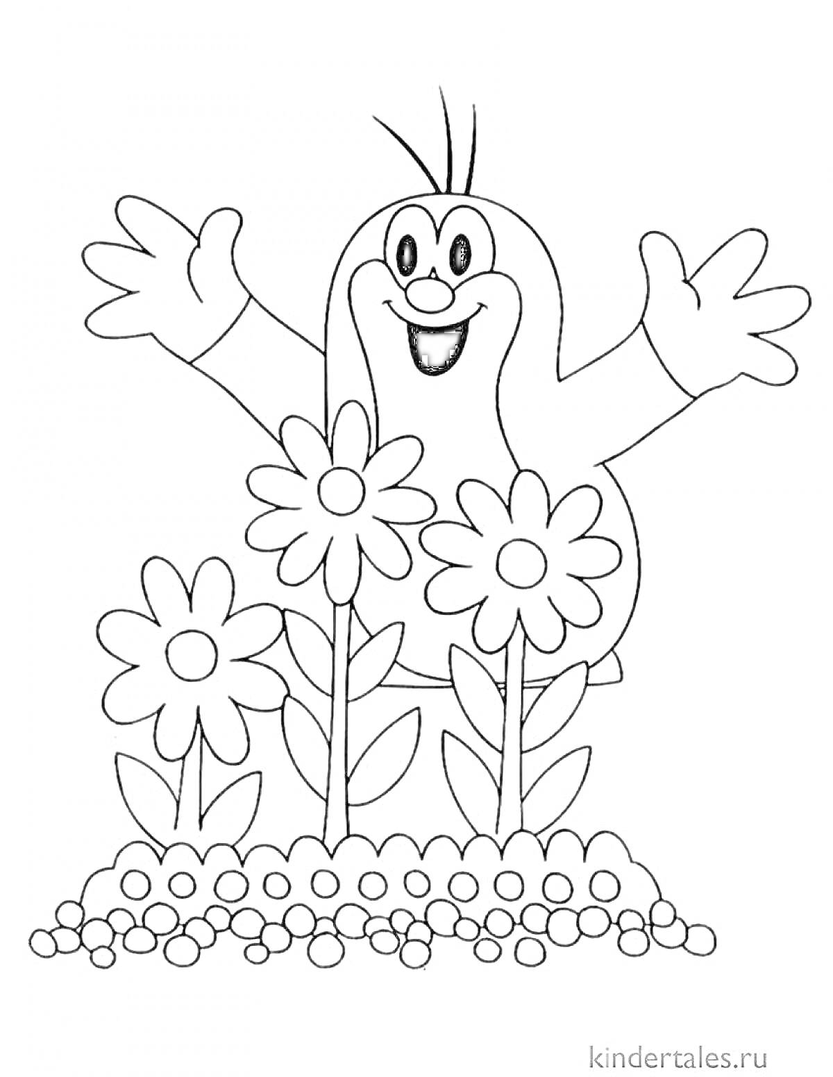 Раскраска кротик среди цветов, каменистая грядка