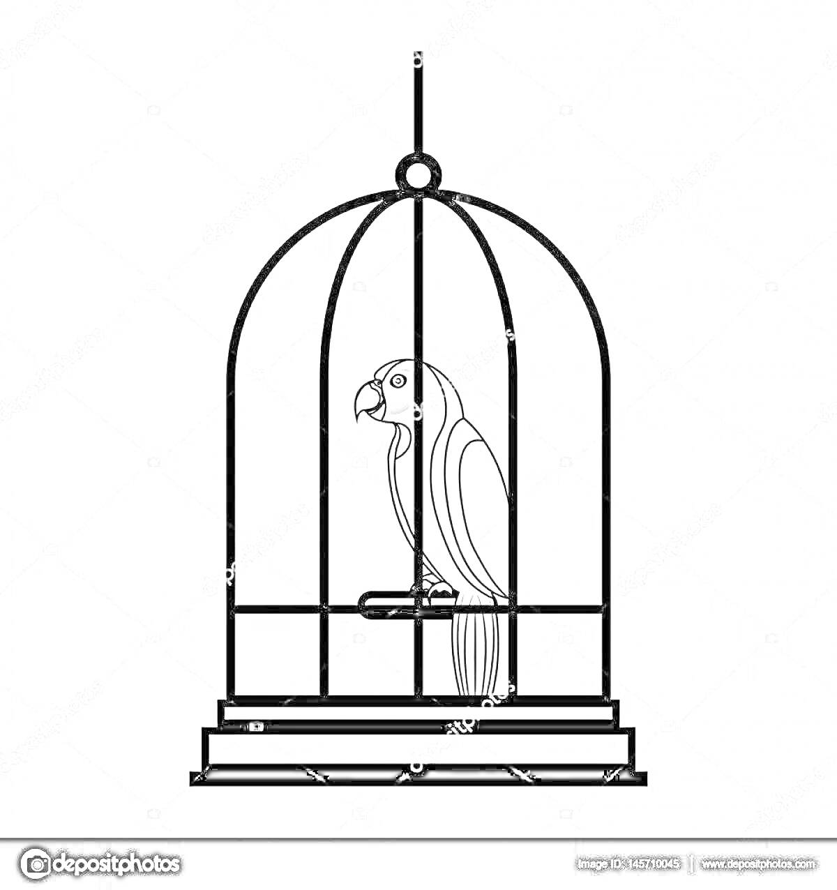 Раскраска Попугай в клетке с жердочкой