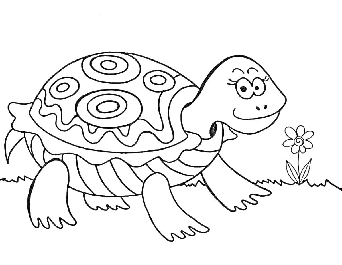 Раскраска Черепаха с цветком на траве