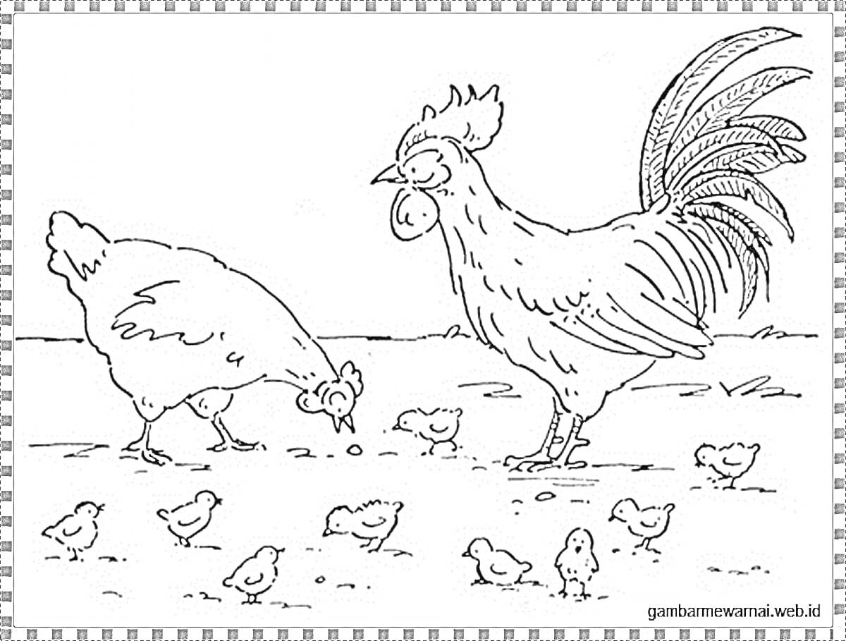На раскраске изображено: Петух, Цыплята, Зернышки, Поле, Ферма, Деревня, Природа