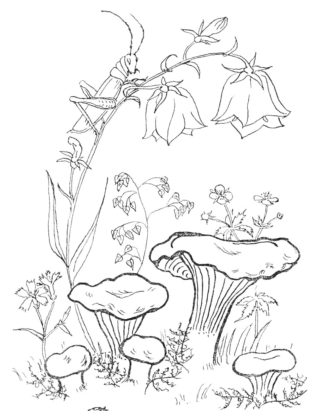 Раскраска Сыроежки с цветами и жуком на растении