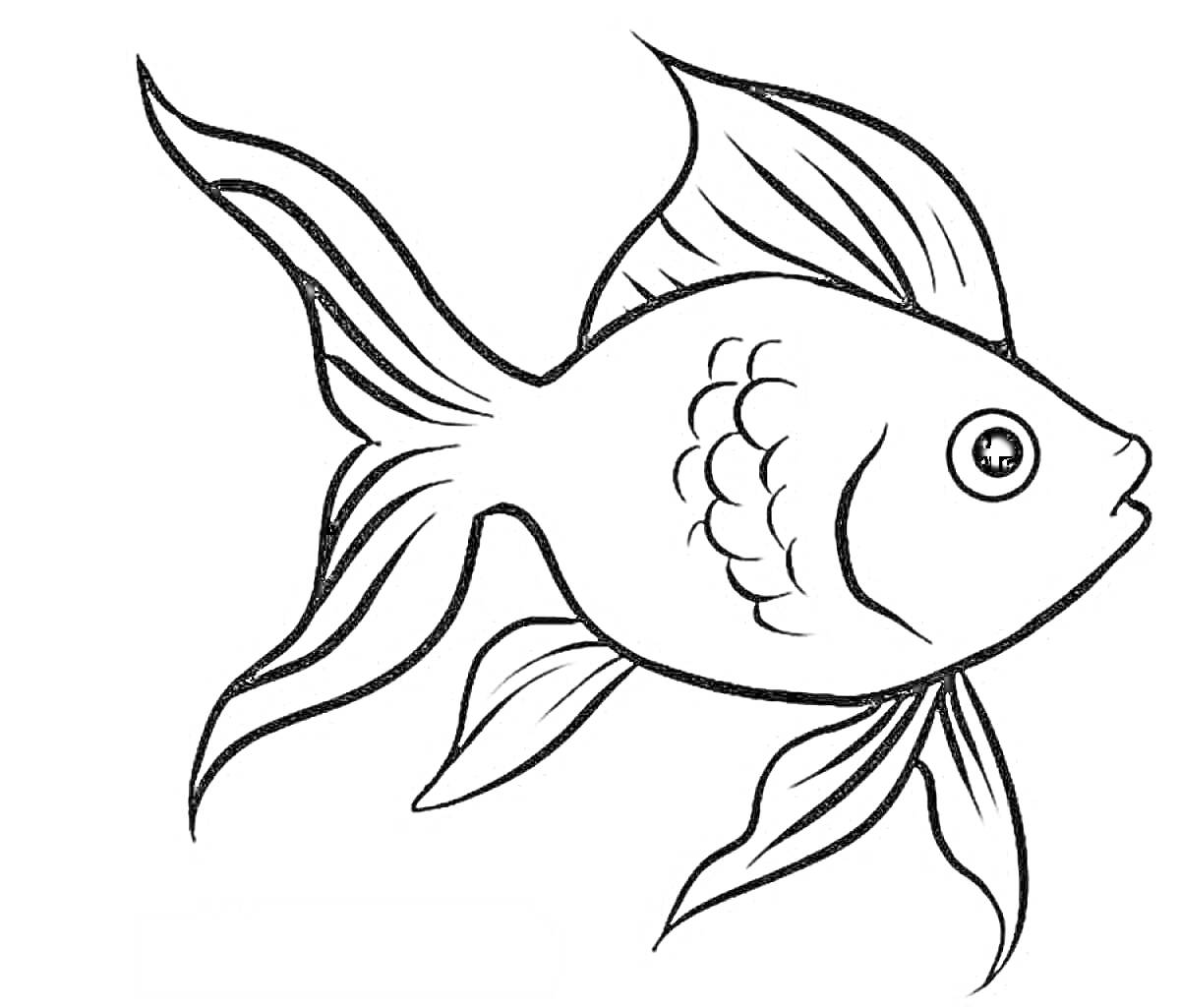 Раскраска Рыбка с плавниками и чешуей