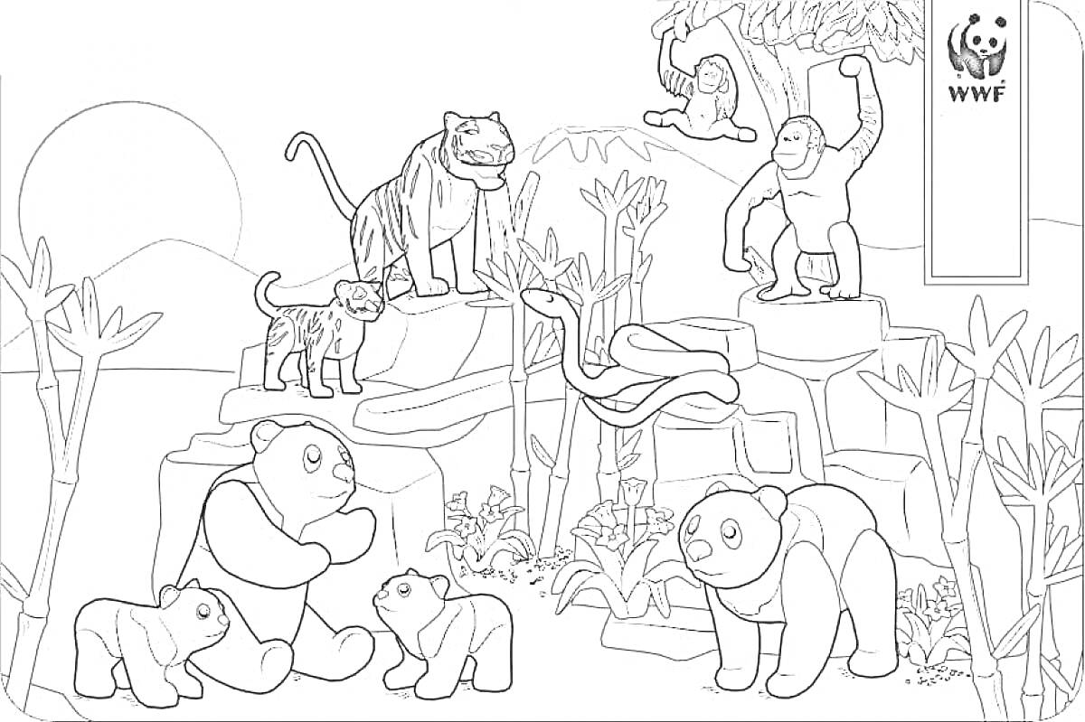 Раскраска Сцена в зоопарке с тигром, леопардом, обезьяной, гориллой, змеёй и пандами на фоне природы