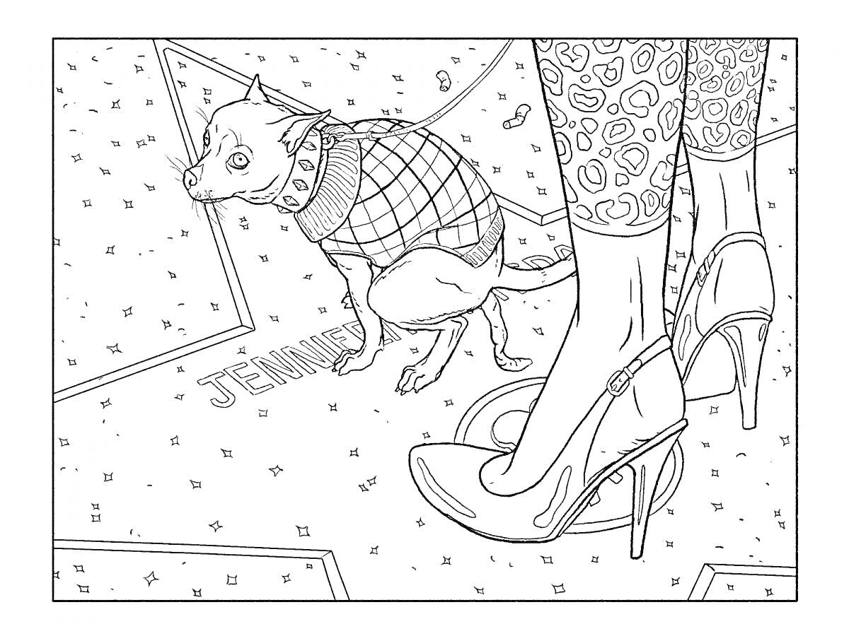 Раскраска Собака в свитере и женщина в туфлях на каблуках