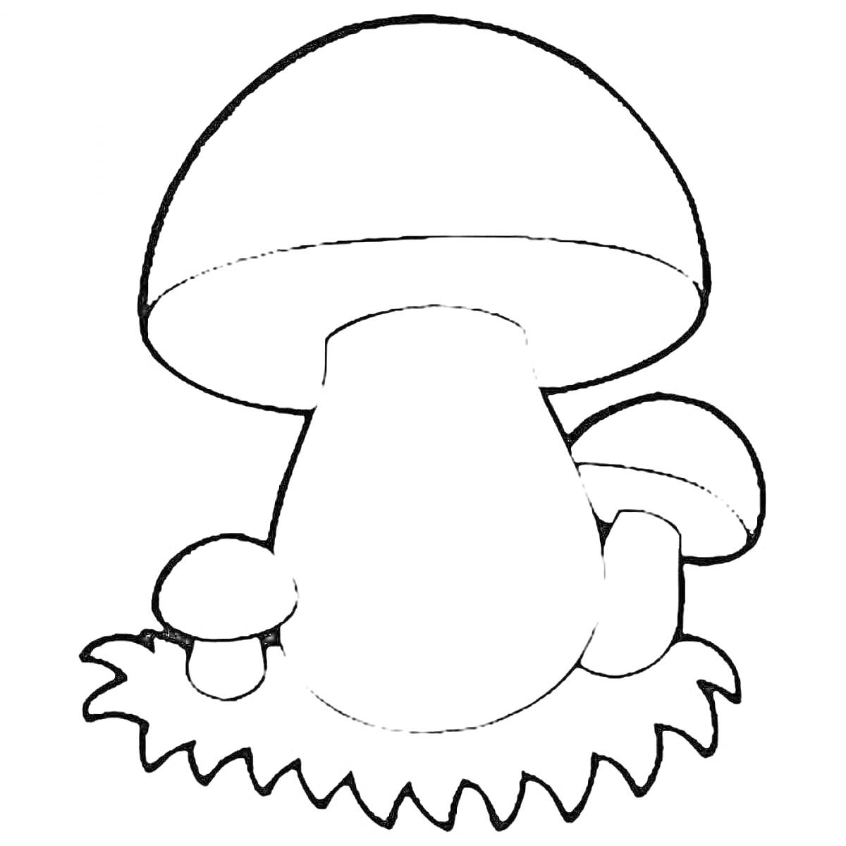 Раскраска грибочек с двумя маленькими грибами и травой