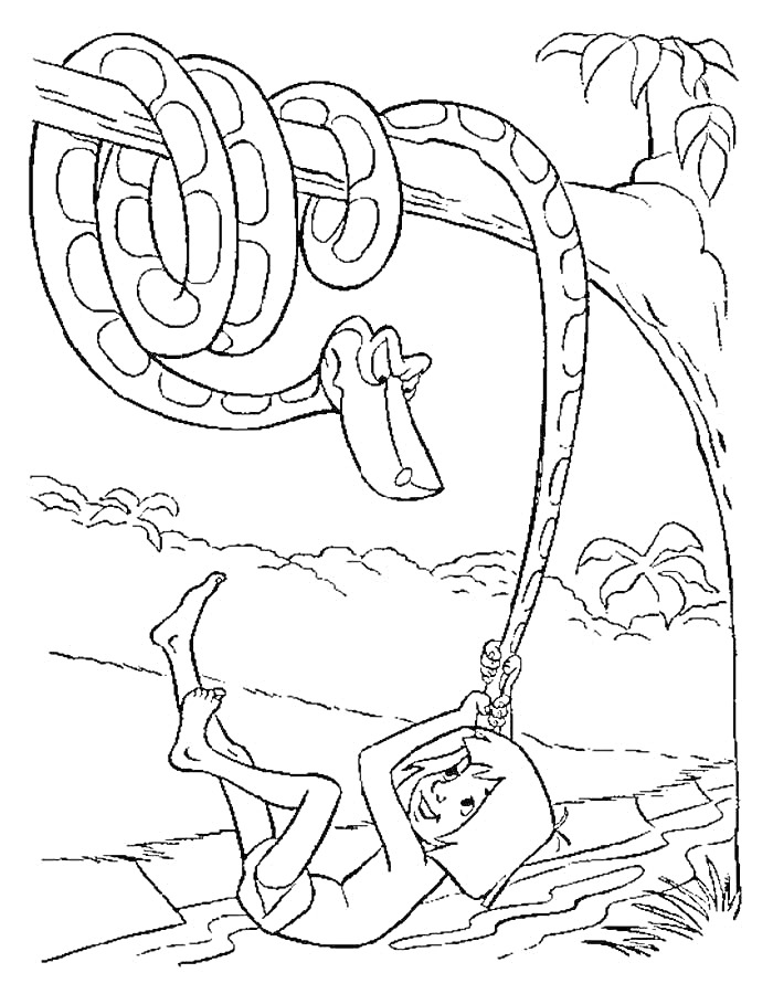 Раскраска Маугли висит на лиане, подвешенной к ветке дерева, рядом висит змея Каа, на заднем плане джунгли