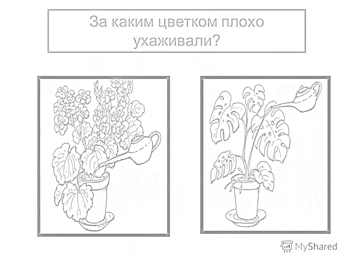 На раскраске изображено: Комнатные растения, Уход за растениями, Леечка, Горшки, Подставки, Надпись