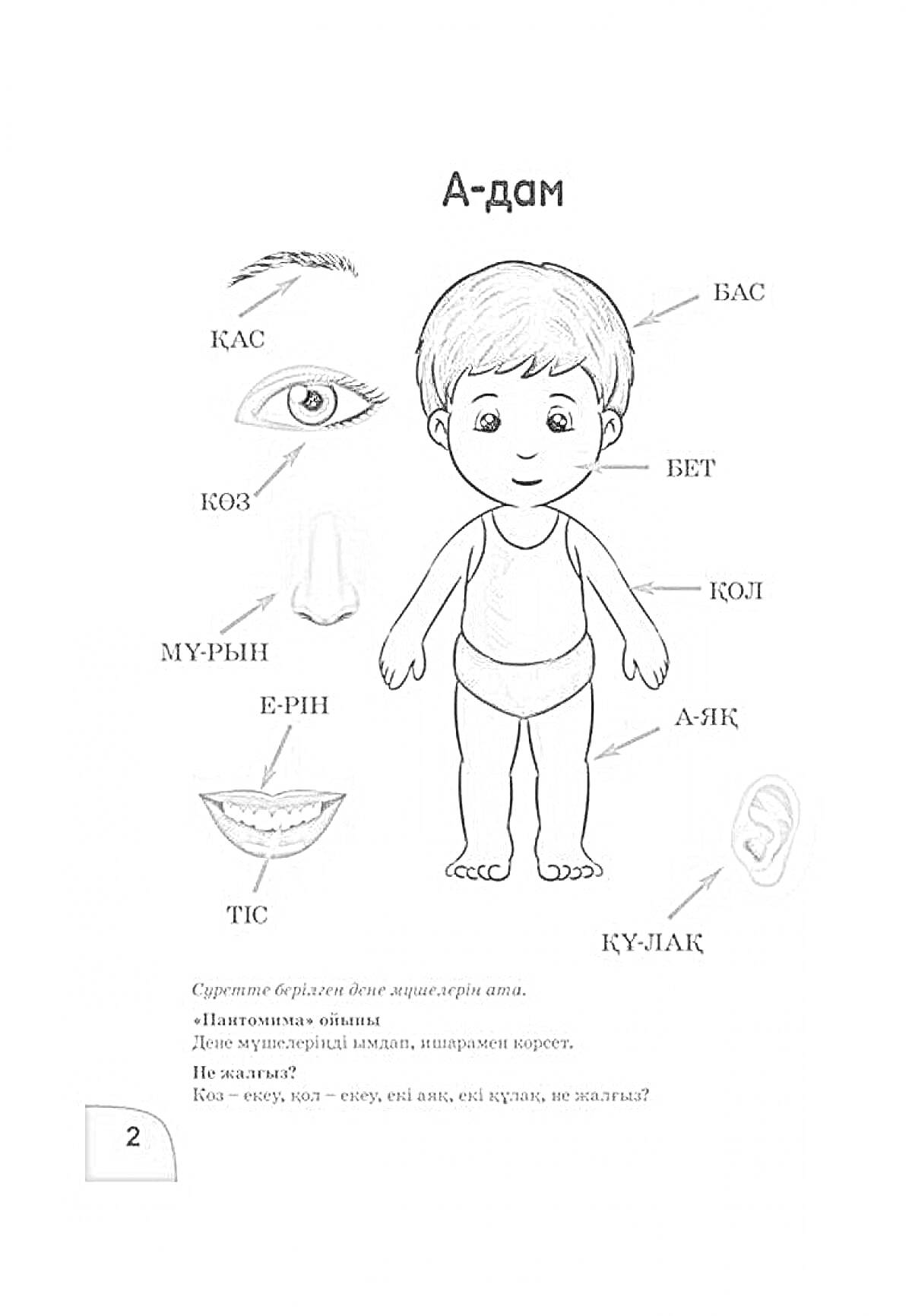 Раскраска Части тела человека (бас, бет, көз, мұрын, ерін, тіс, қол, аяқ, құлақ, қас).