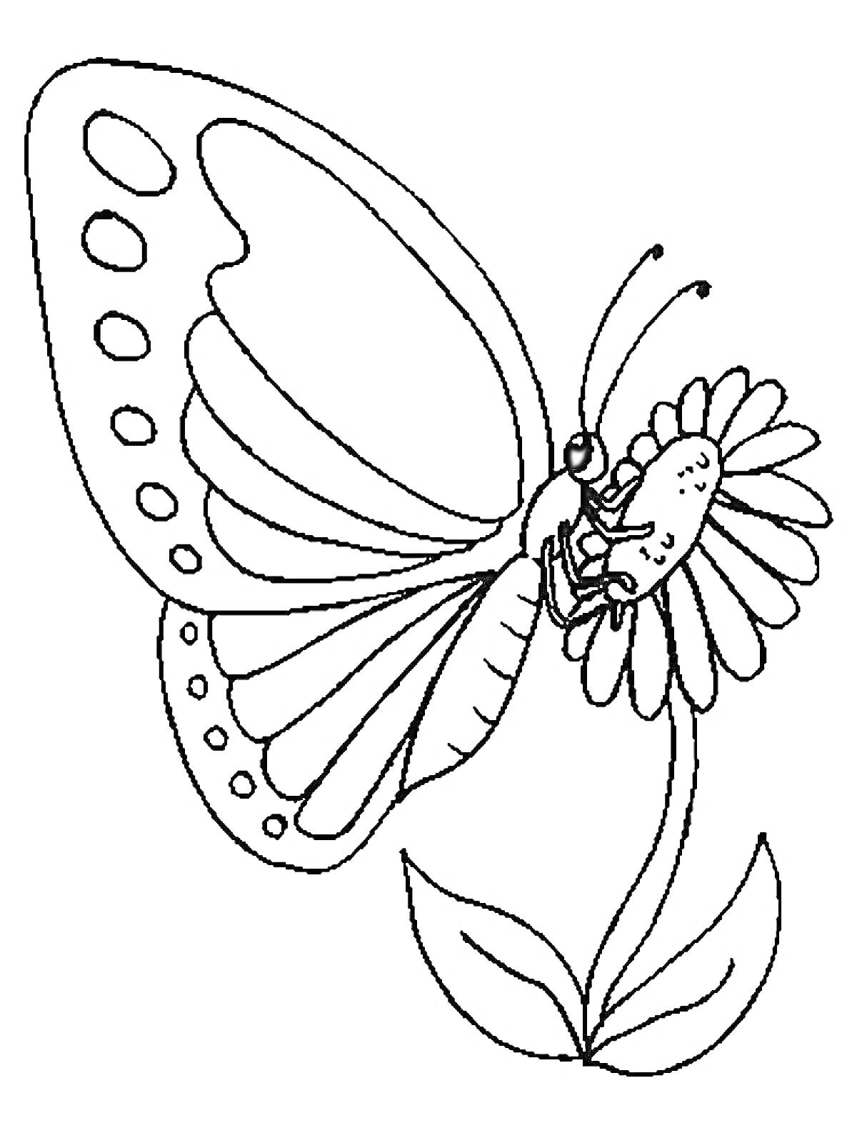 На раскраске изображено: Бабочка, Листья, Антенны, Крылья, Природа, Цветы, Контурные рисунки