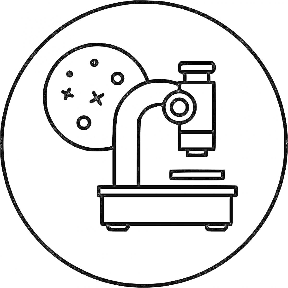 Микроскоп с изображением бактерий в круге