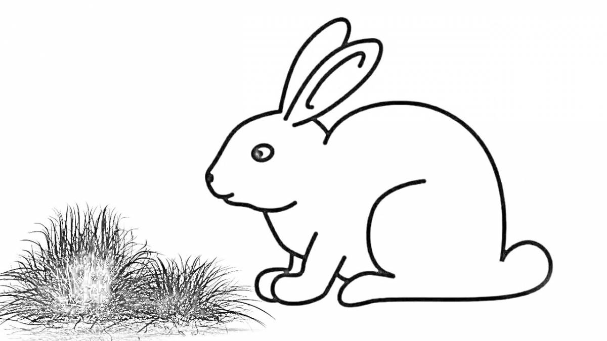 Сурет бояуға