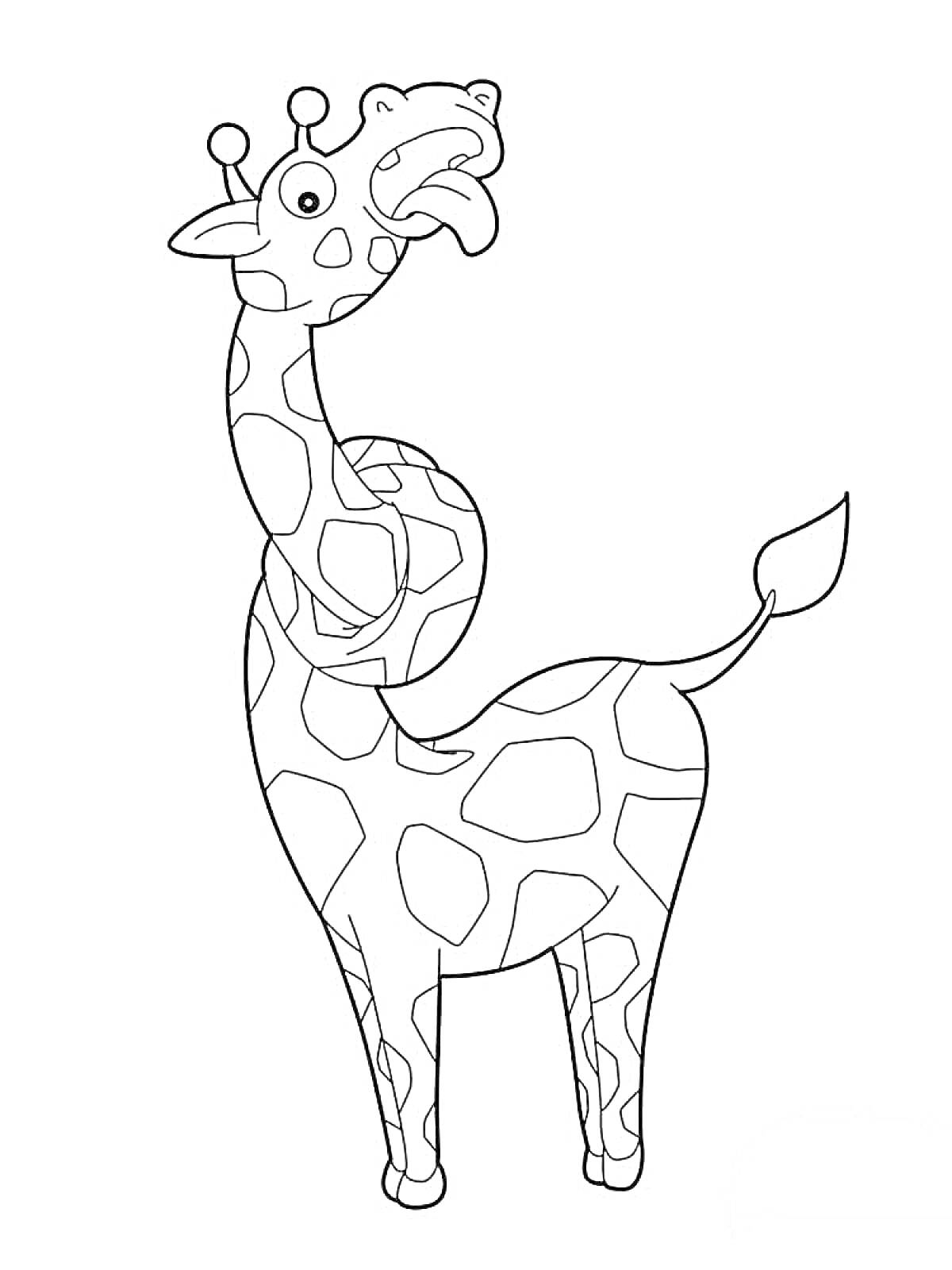 Жираф с длинной шеей, стоящий на копытах, с пятнами на теле, ушами и хвостом