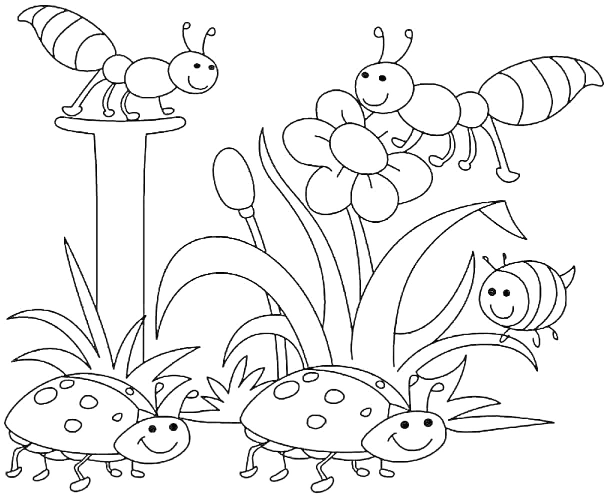 Раскраска Насекомые на природе - муравей, божьи коровки, пчела и цветок