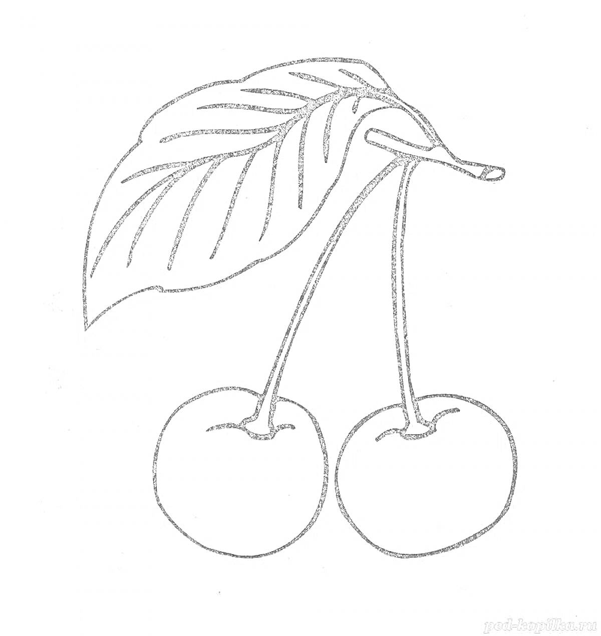 На раскраске изображено: Вишня, Фрукты, Для детей, Плоды, Листья, Ягоды, Природа