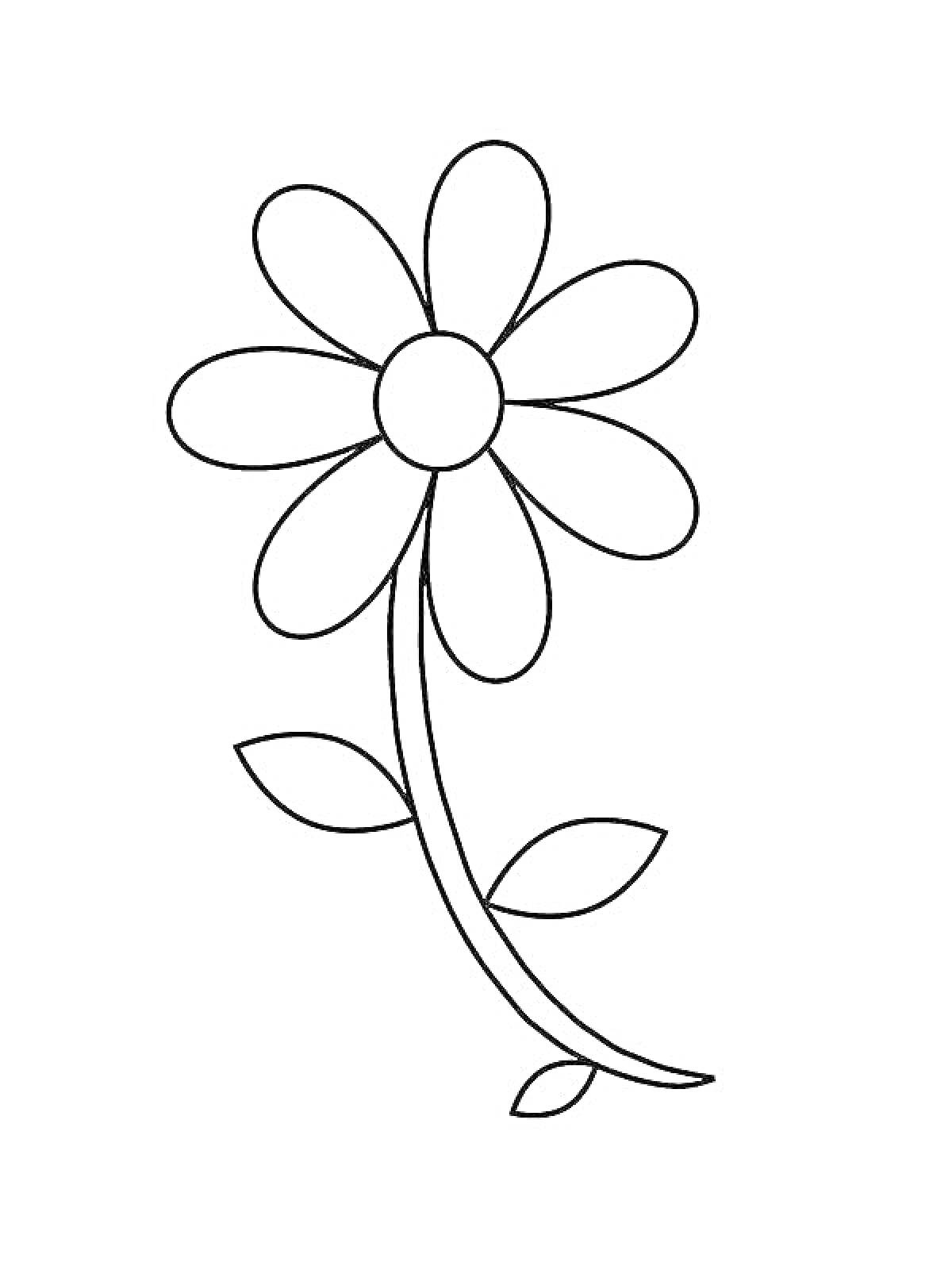 На раскраске изображено: Семицветик, Для детей, Лепестки, Листья, Стебель, Цветы, Контурные рисунки
