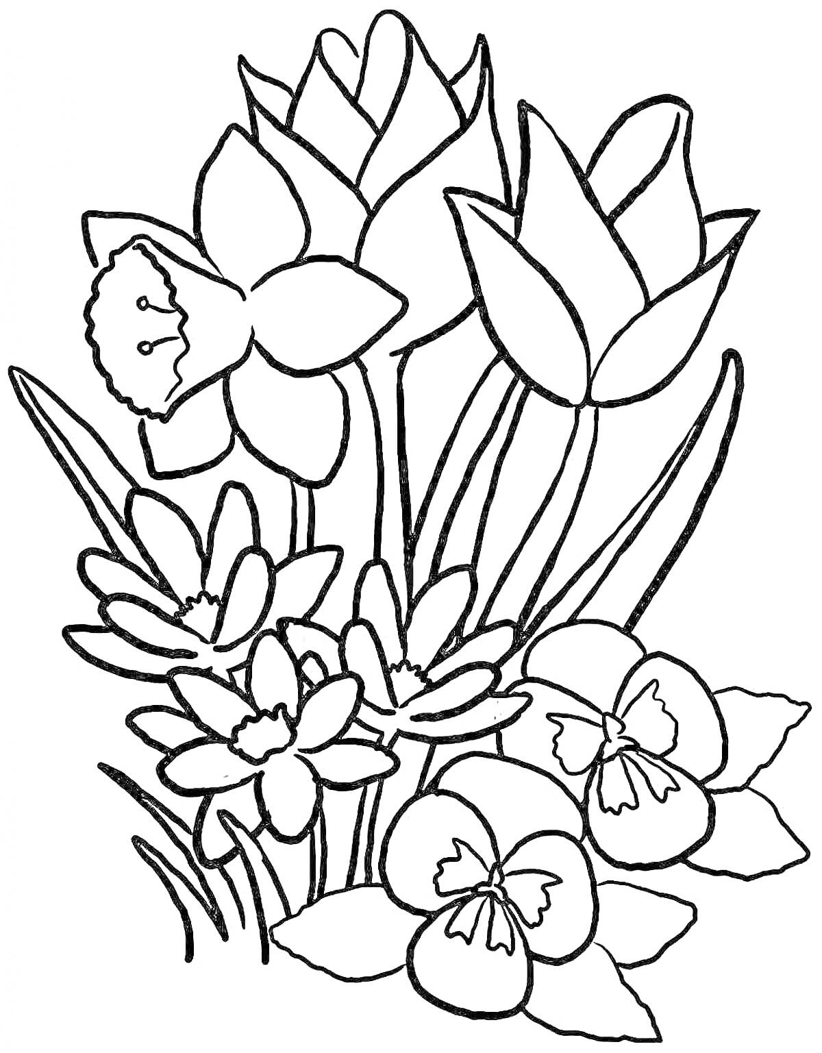 На раскраске изображено: Цветы, Нарциссы, Тюльпаны, Ботаника, Природа, Весна
