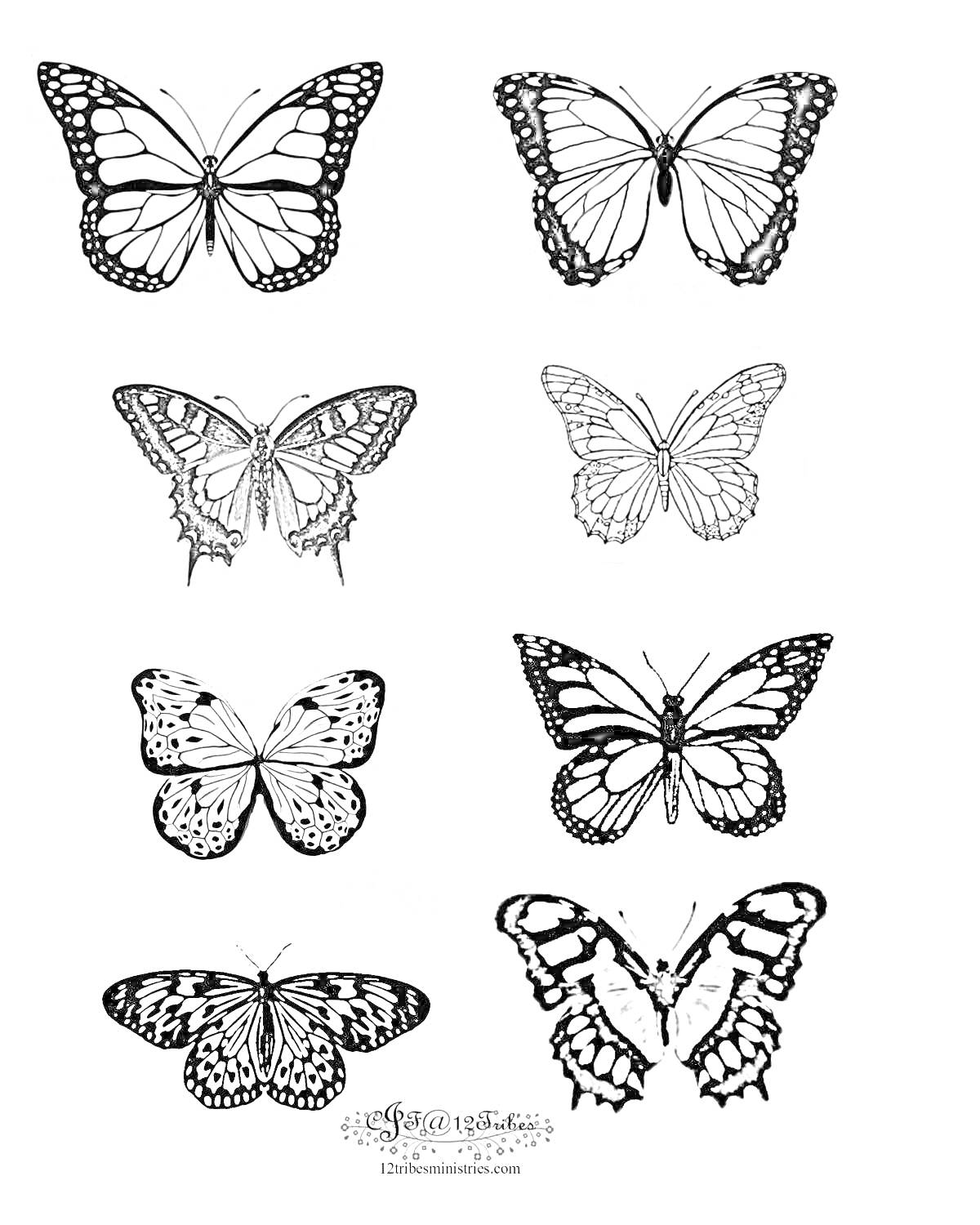 Раскраска Восемь маленьких бабочек с различными дизайнами крыльев