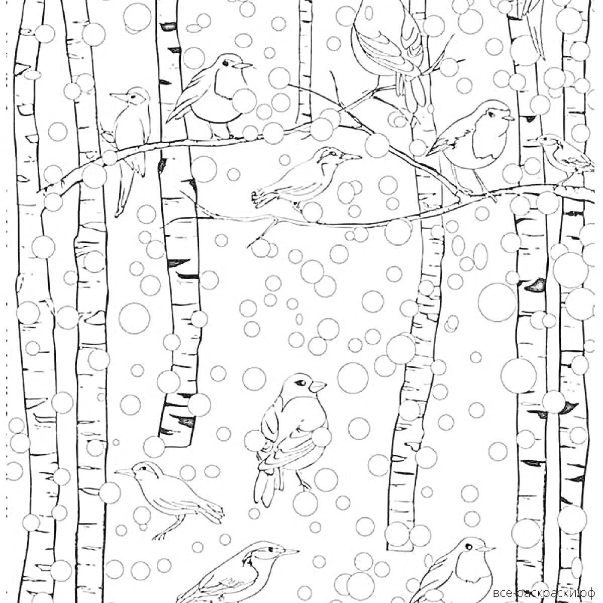 На раскраске изображено: Зима, Береза, Деревья, Снег, Природа, Лес