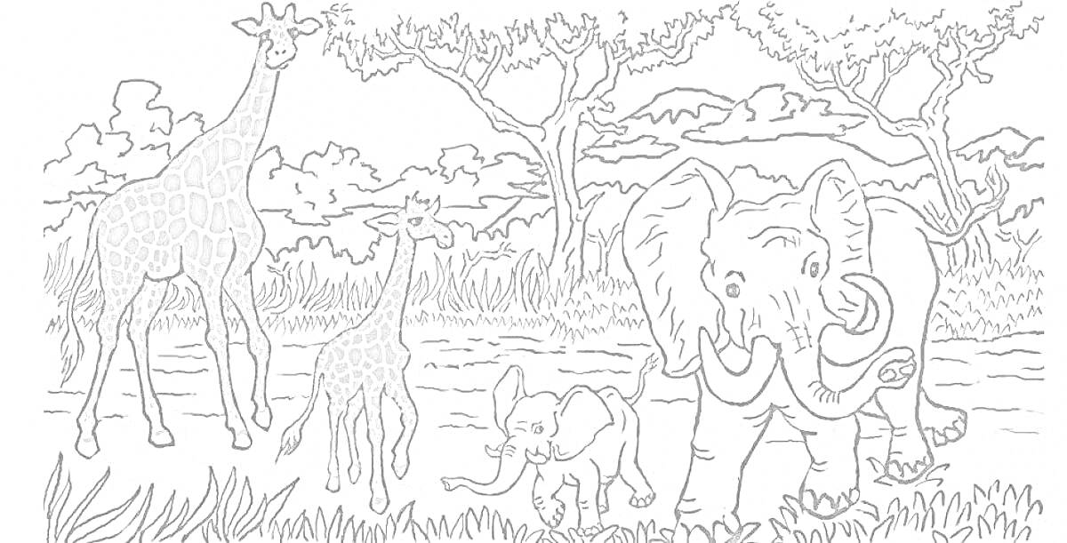 На раскраске изображено: Саванна, Слон, Деревья, Трава, Природа, Животные, Пейзаж, Кусты, Река