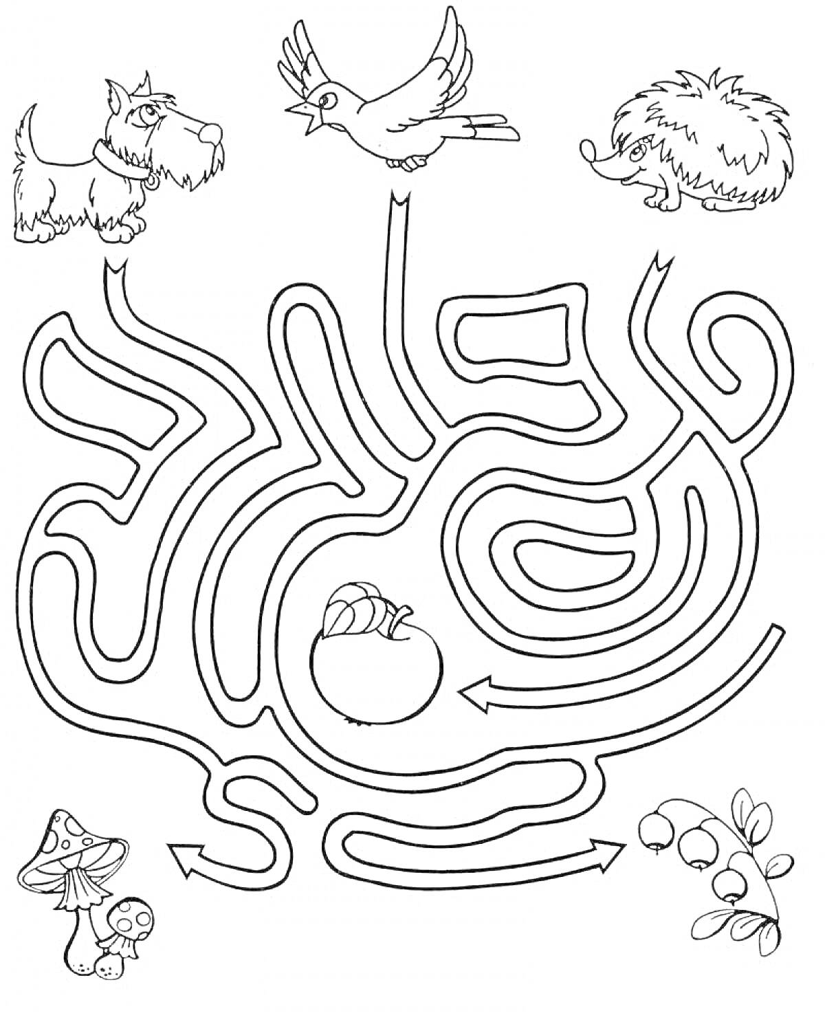 На раскраске изображено: Лабиринт, Собака, Птица, Еж, Грибы, Головоломка, Лесные животные, Ягоды