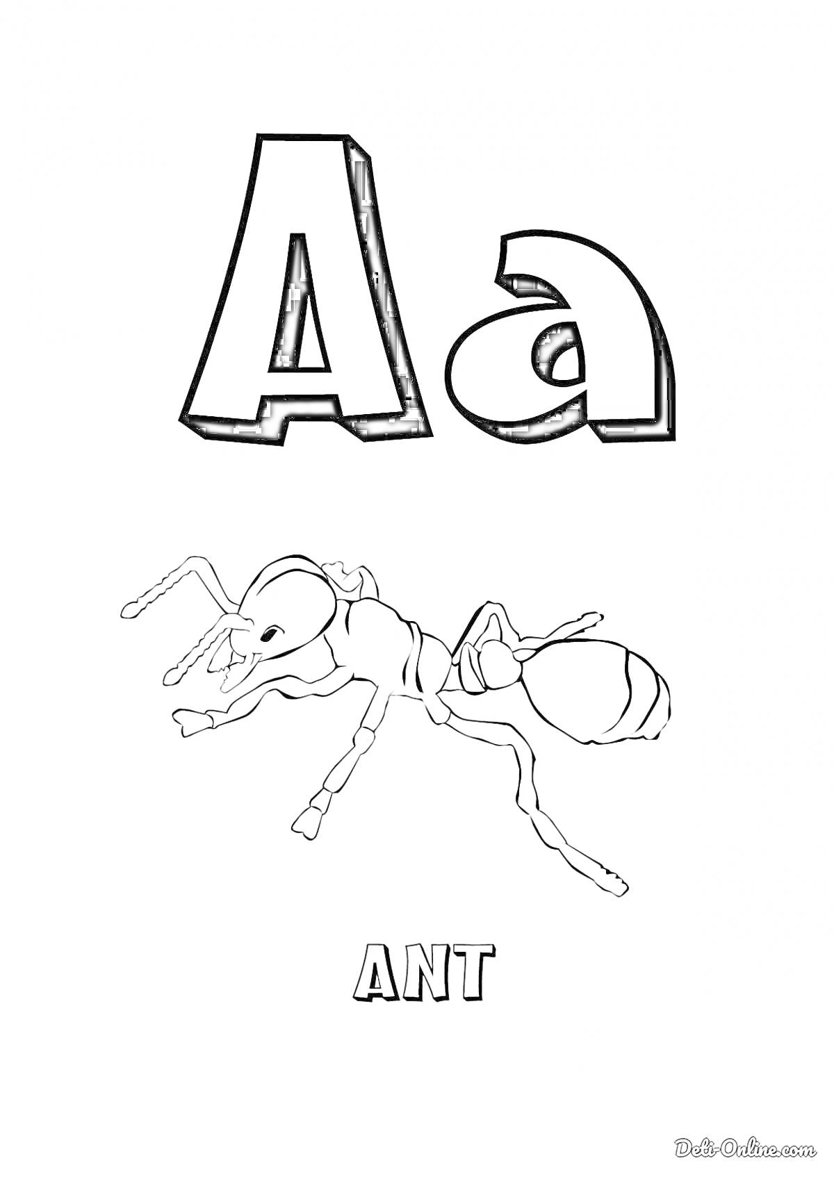 Раскраска Буква A с изображением муравья и словом ANT