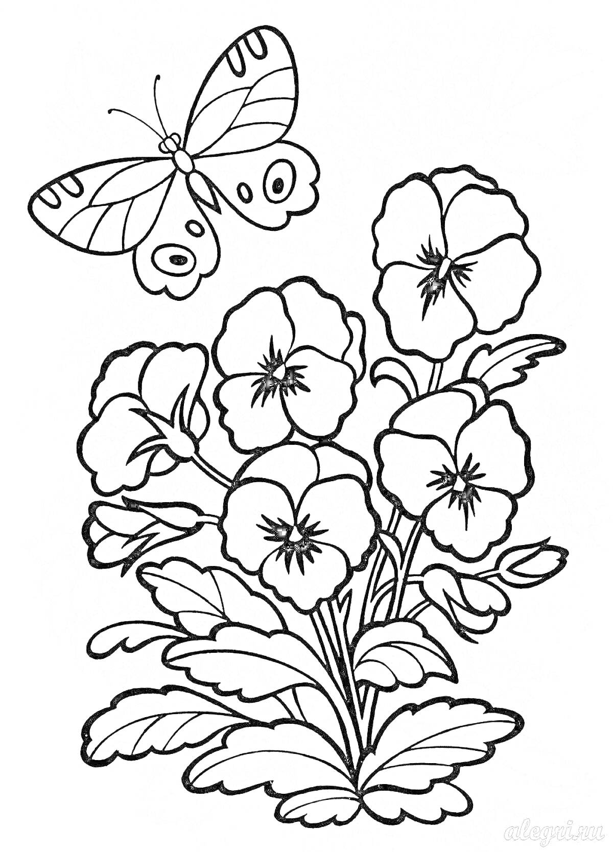 Раскраска Рисунок с цветами и бабочкой, состоящими из трех больших цветов с листьями снизу и большой бабочки, парящей над ними.