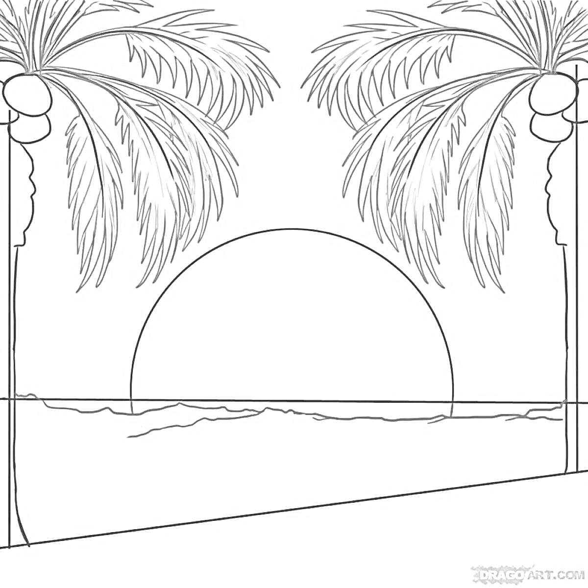 Раскраска Закат с пальмами и горизонтом
