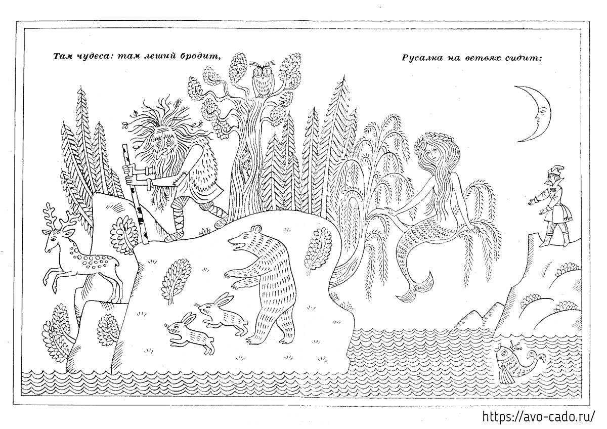 На раскраске изображено: Дуб, Лукоморье, Кот, Леший, Медведь, Белка, Природа, Лес