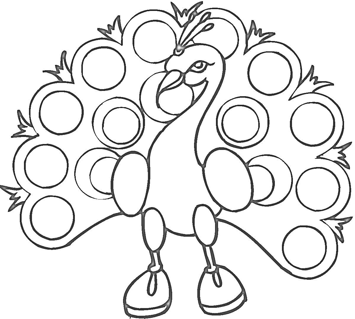 Раскраска Павлин с распущенным хвостом и кругами на перьях