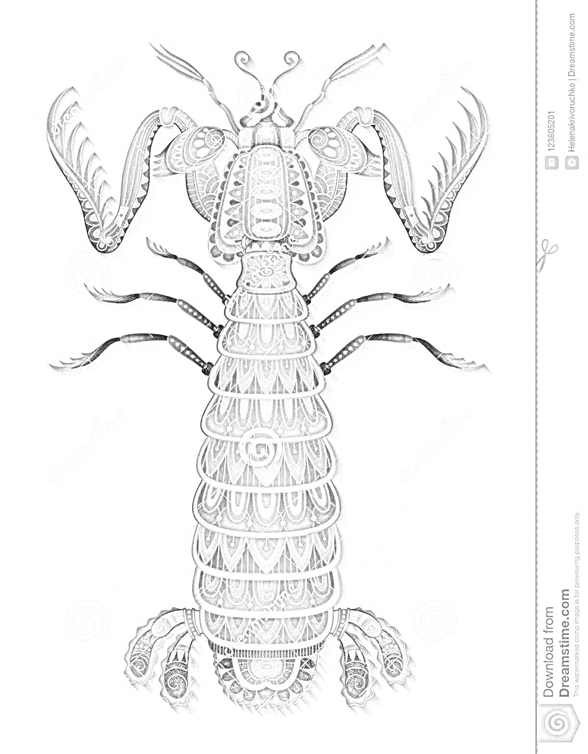 Разрисованный рак-богомол с замысловатым узором